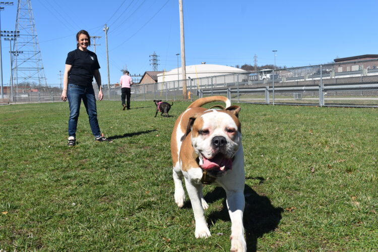 Warwood Dog Park Opens Early
